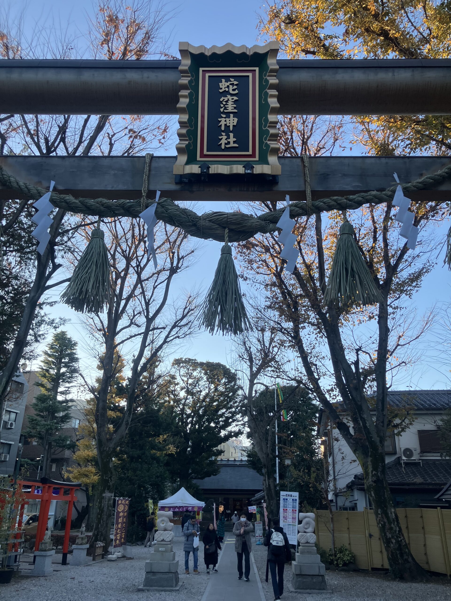 蛇窪神社　鳥居　額縁