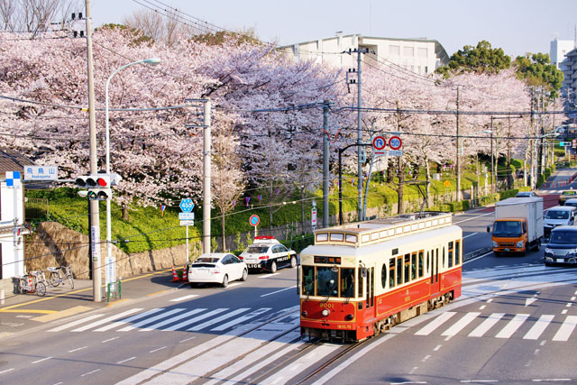 東京さくらトラム（都電荒川線）